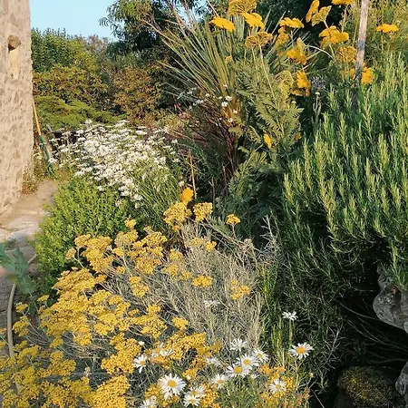 La Tour Du Bois Dormant